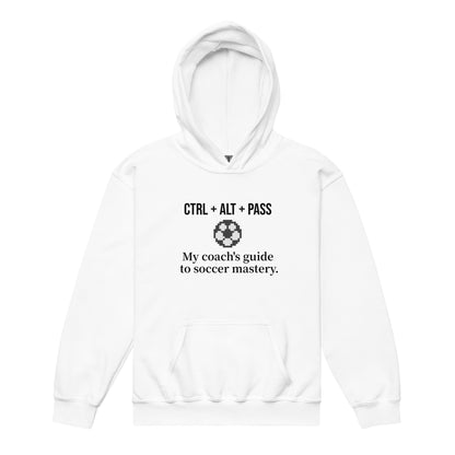 Guide to Mastery: Pass heavy blend hoodie